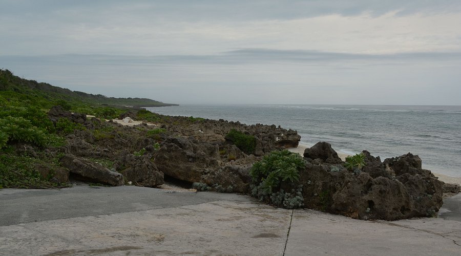 🏖️ 피자 해변 (피자하마) 이미지 1